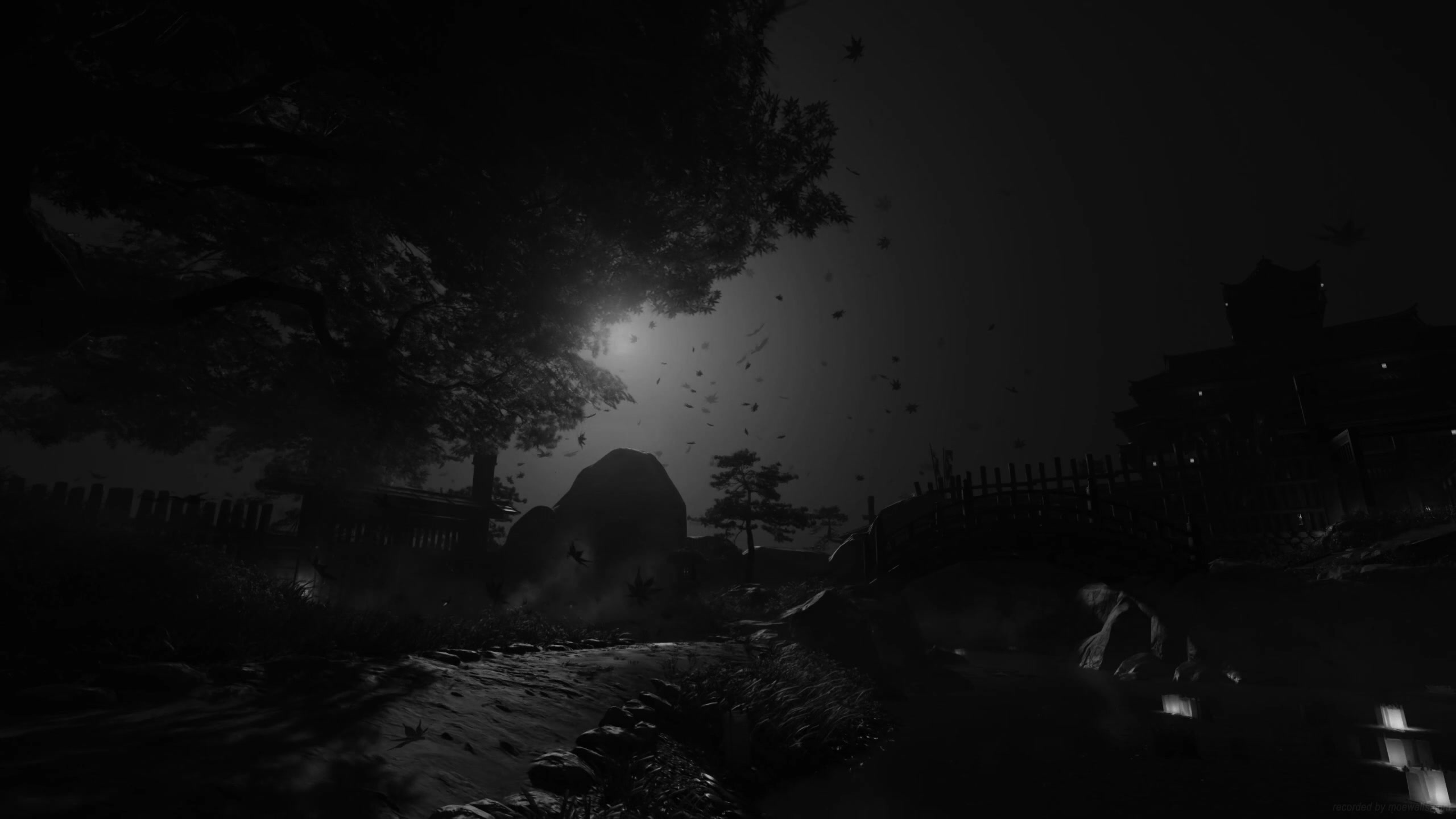 Cinematic Japanese Garden Scenery